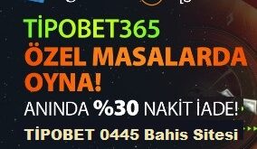 tipobet 0445 yeni giriş